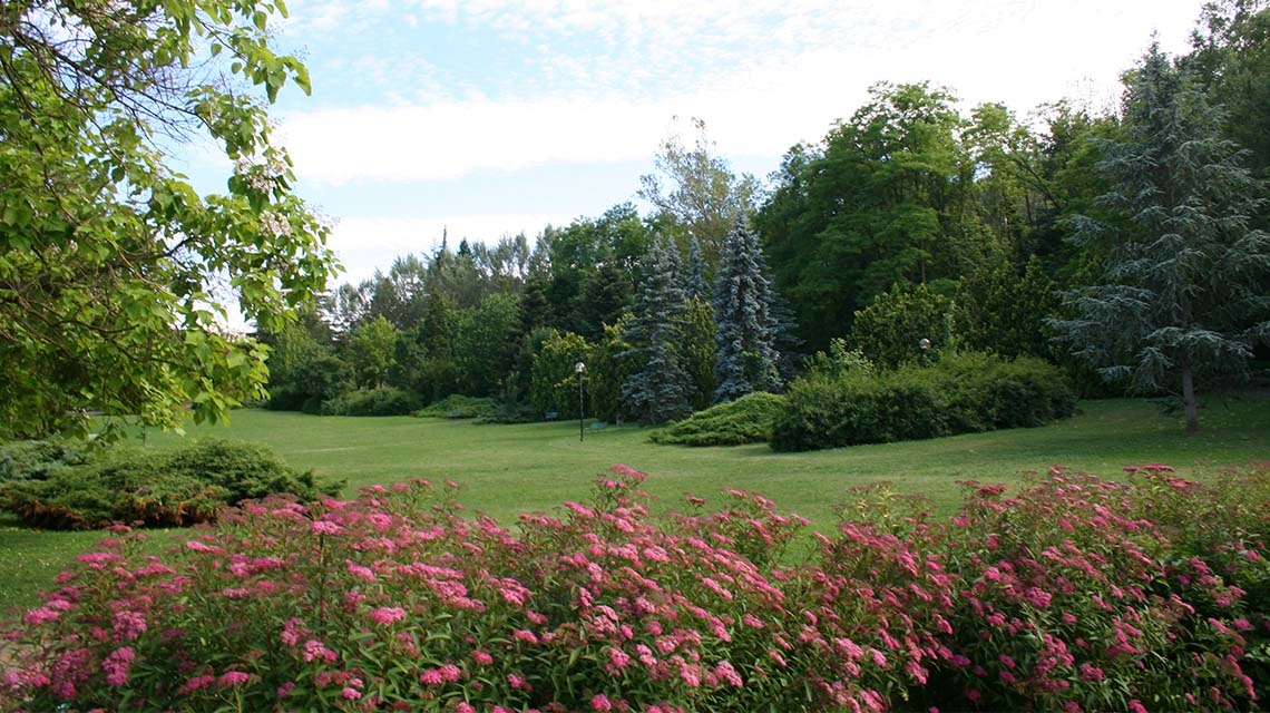 Spring is coming: le offerte di aprile